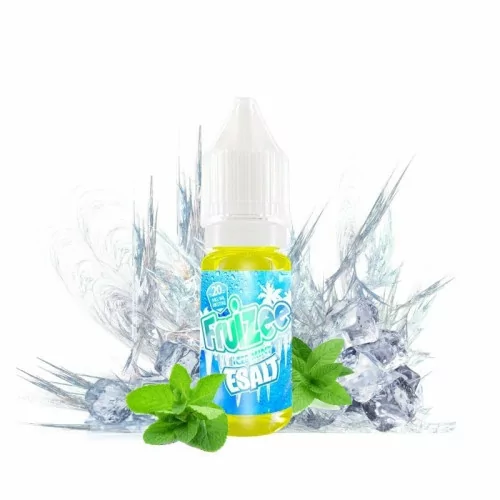 Icee Mint - Fruizee Esalt